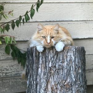 Meet your Posher, Beckie